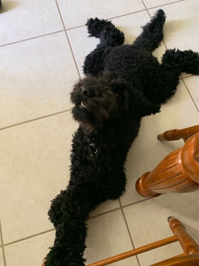 All You Can Ever See Is Her Bottom Teeth