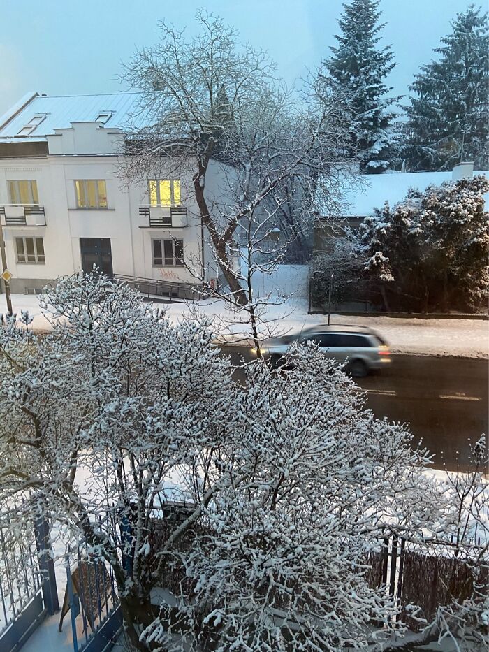 The View From My Room