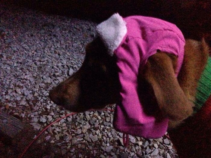 Bailey & Her Winter Hat