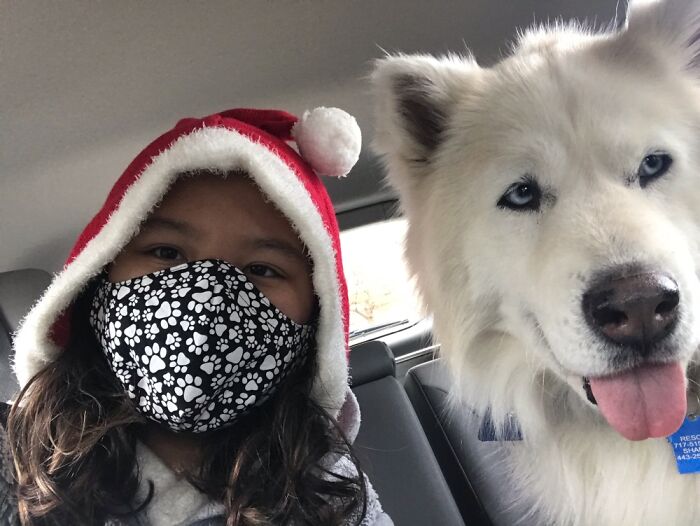 This Is My Dog Finley