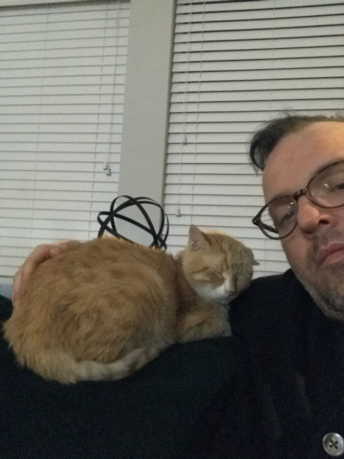 Edison He’s Almost 14 Years Old. Such A Good Boy!