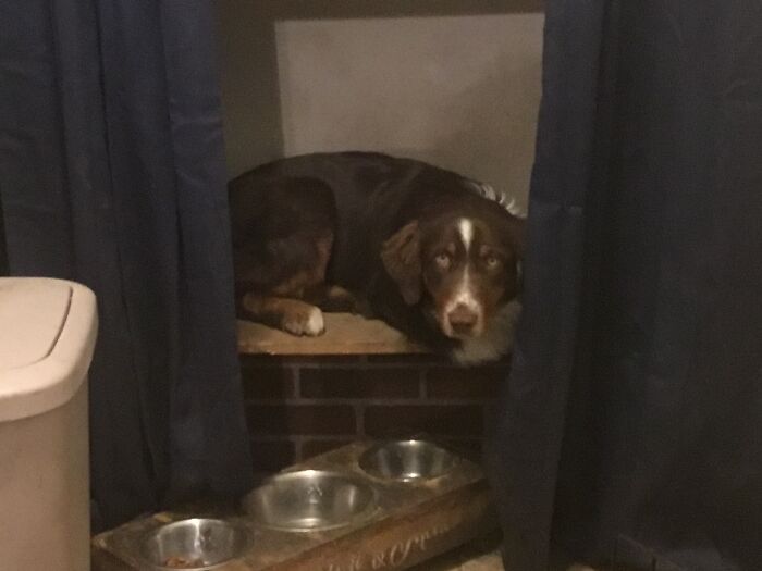 She Sleeps On This Shelf......