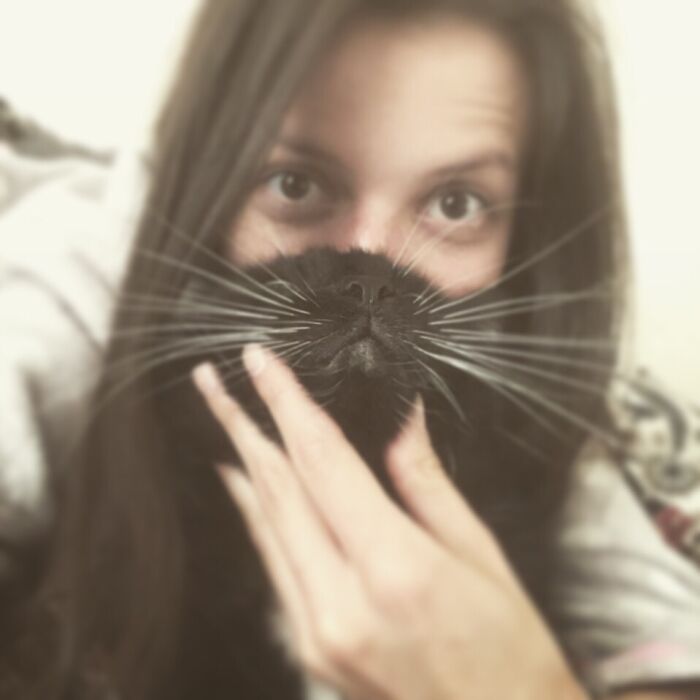 Cat Mask