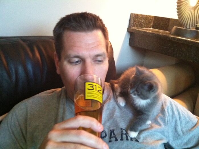 Husband And Gus The Shoulder Kitten ❤️