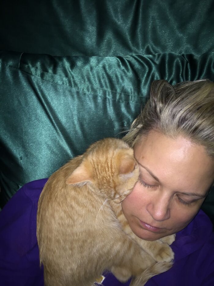 Morning Snuggles With Owen. He’s 15lbs Now And Still Insists On Doing This Every Morning. ❤️