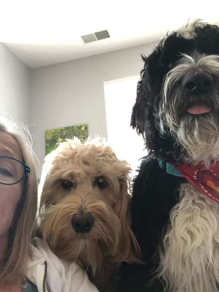 Stewart Stella And Me