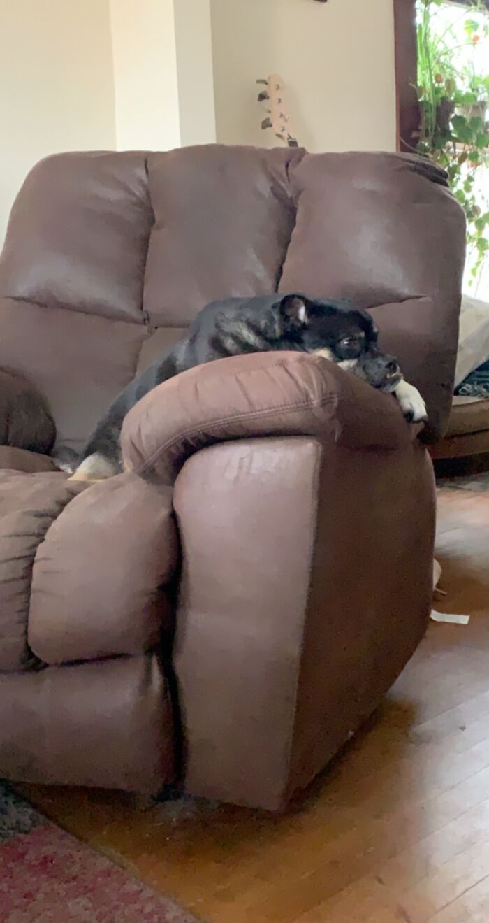 When Mom Says It’s Too Cold To Play Outside....