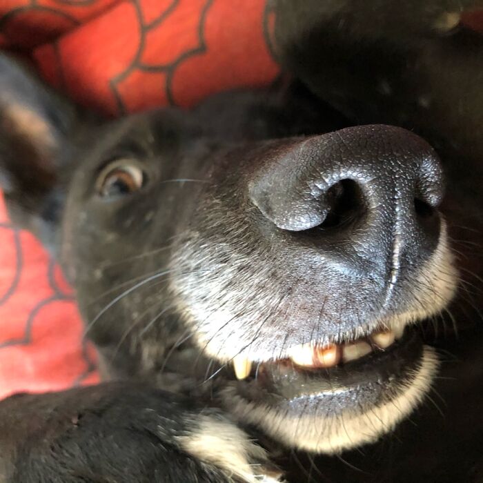 Whatcha Doing Human??