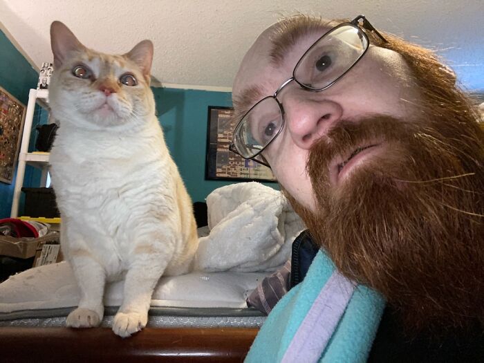 This Little Kitten Was Very Interested In My Game, Since Her Lawn Was Too Snowy To Go Play