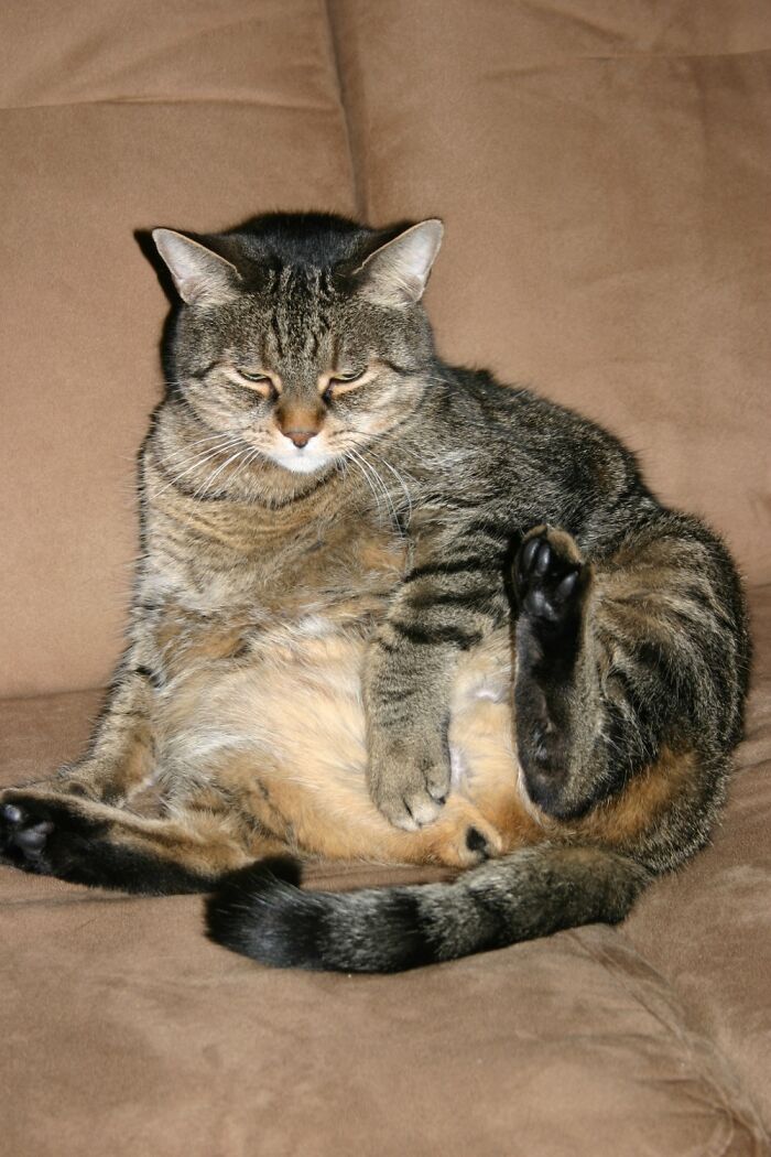 Zeke — Just Chilling