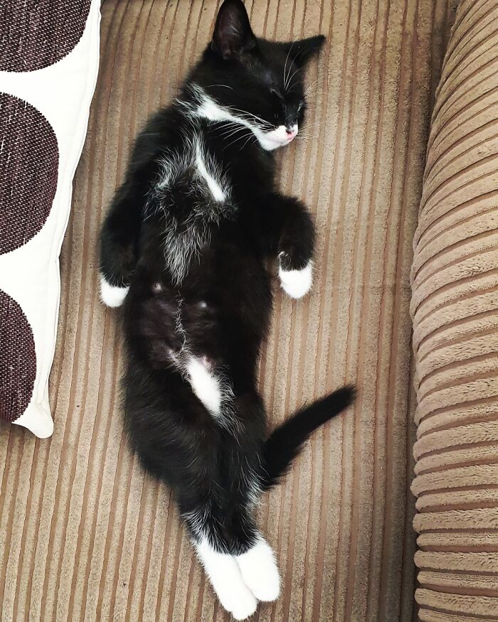 Kobe, Those Little Crossed Legs Though...