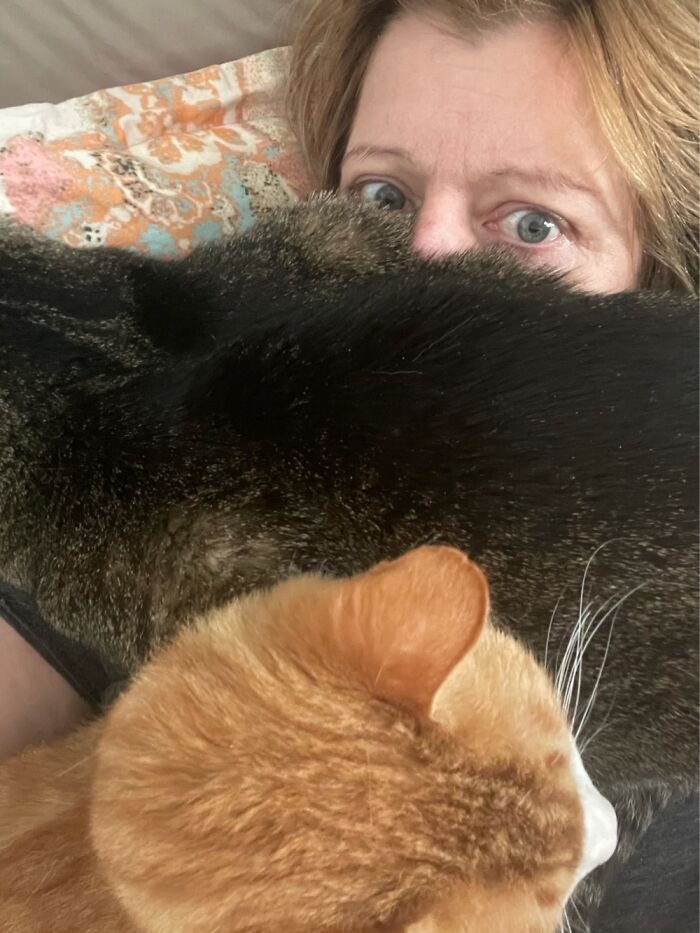 Up To My Eyeballs In Cats!