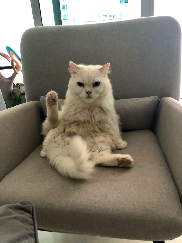 Caught Red-Handed....