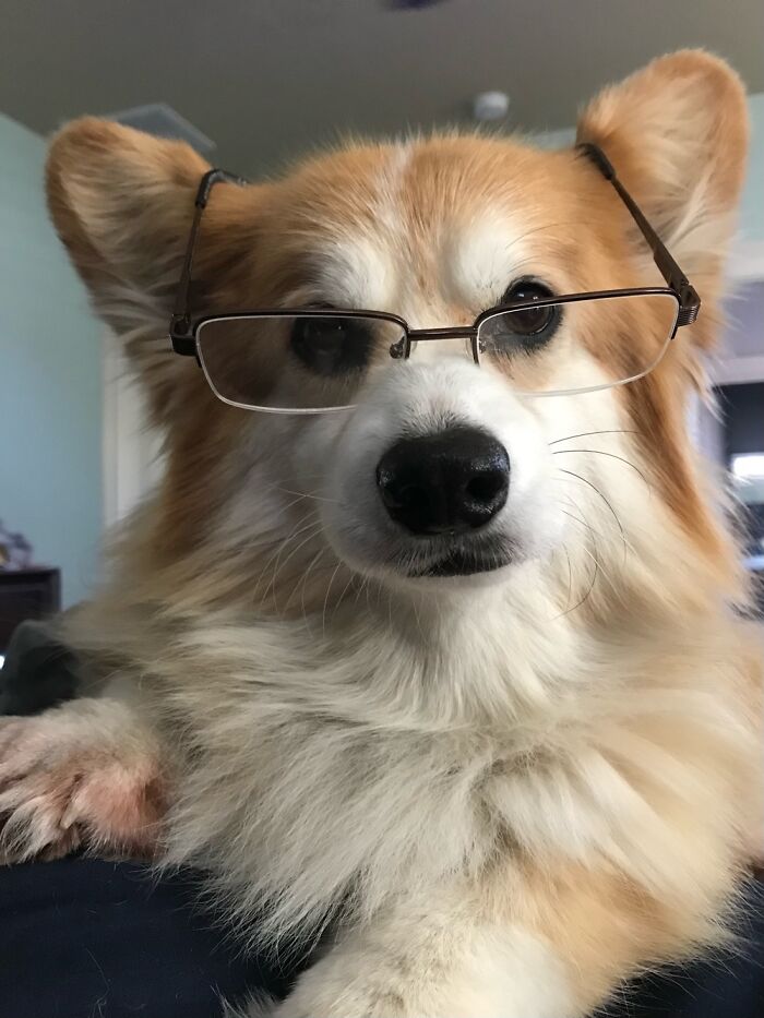 Zoe. She’s Ready To Do Your Taxes.