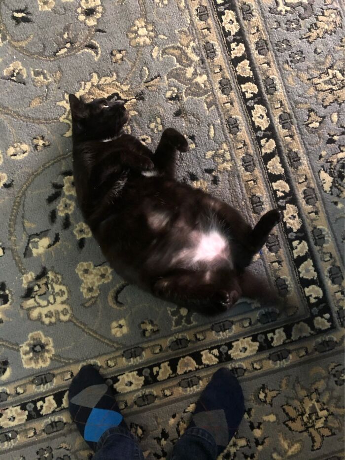 She Just Lays There Like This For Hours