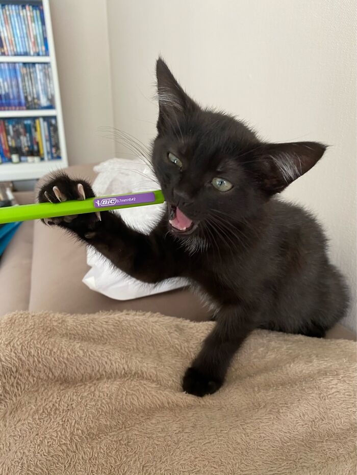 A Really Dangerous Enemy