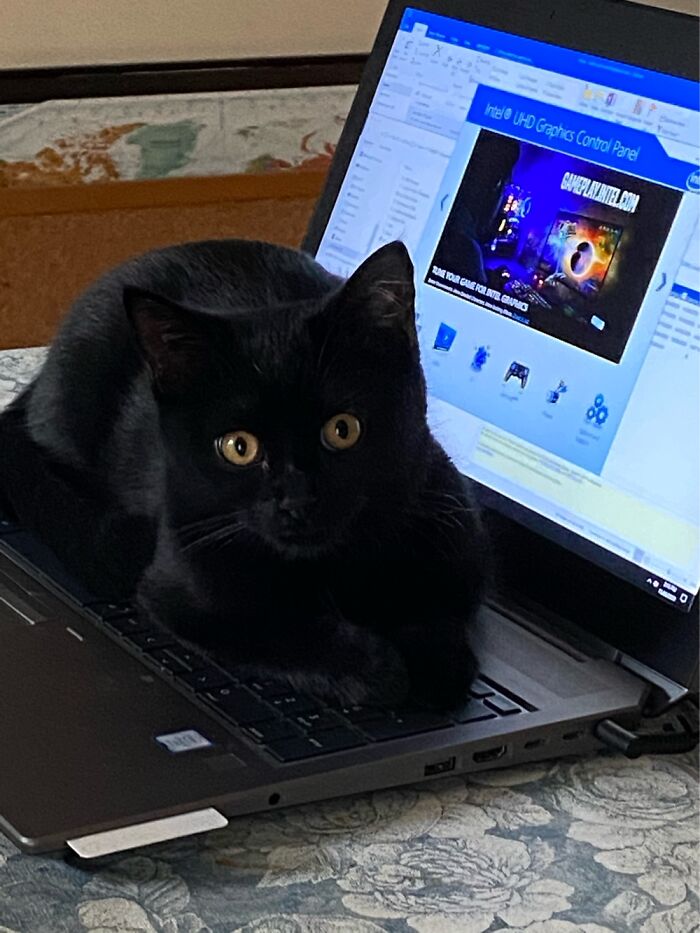 Although The Pose Isn’t Particularly Funny The Spot He’s Sitting In Is!