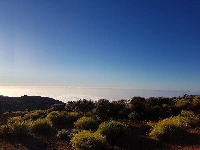 Watching The Sunset At Mount Teide Tenerife