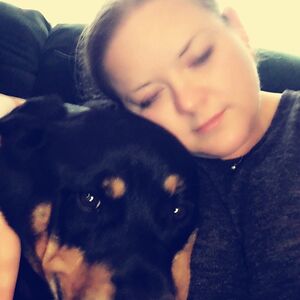 karriberkowitz avatar