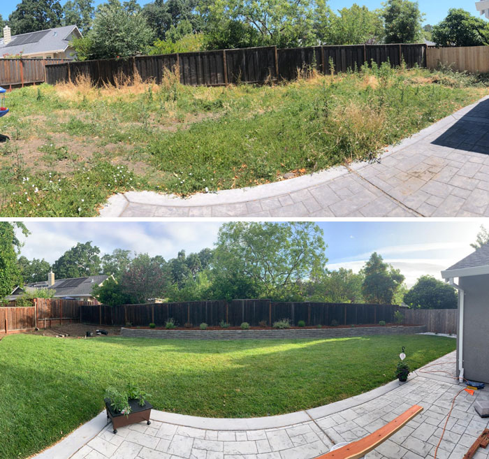 Before And After Of My Marathon Of A Backyard Project