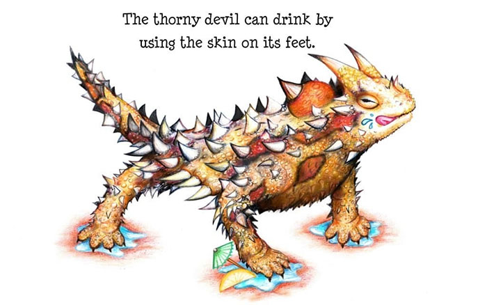 Here Are My 21 New Interesting Scientific Facts Illustrated In An Understandable Way