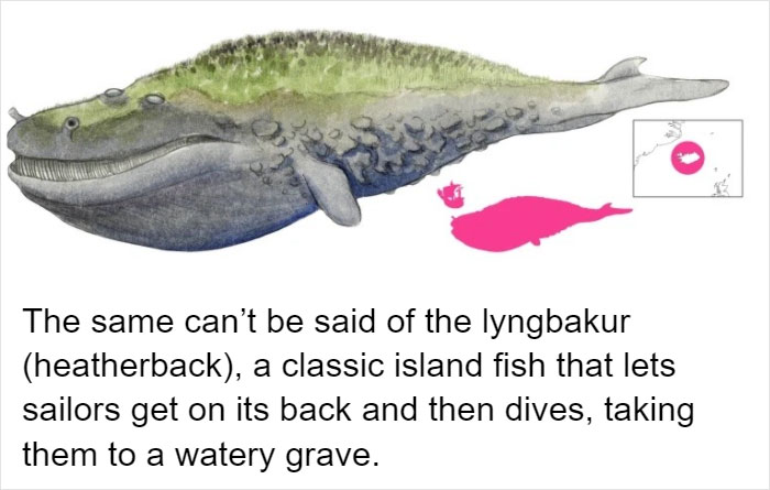 10 Mythical Whales Icelandic Folklore Wants You To Avoid Calling By Their Name 10 Mythical Whales Icelandic Folklore Wants You To Avoid Calling By Their Name