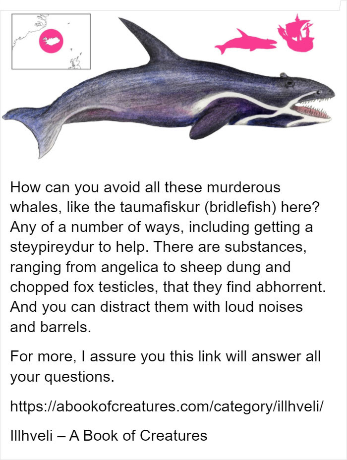 10 Mythical Whales Icelandic Folklore Wants You To Avoid Calling By Their Name 10 Mythical Whales Icelandic Folklore Wants You To Avoid Calling By Their Name