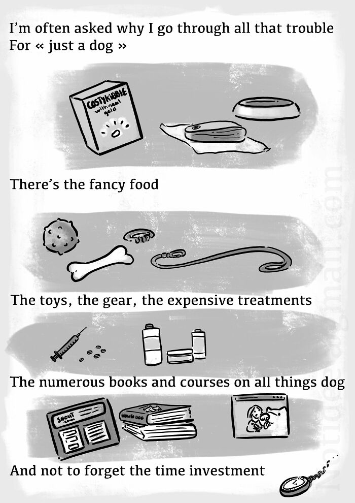 Dog Owner Creates A Comic About How Wrong The 'It's Just A Dog' Attitude Is