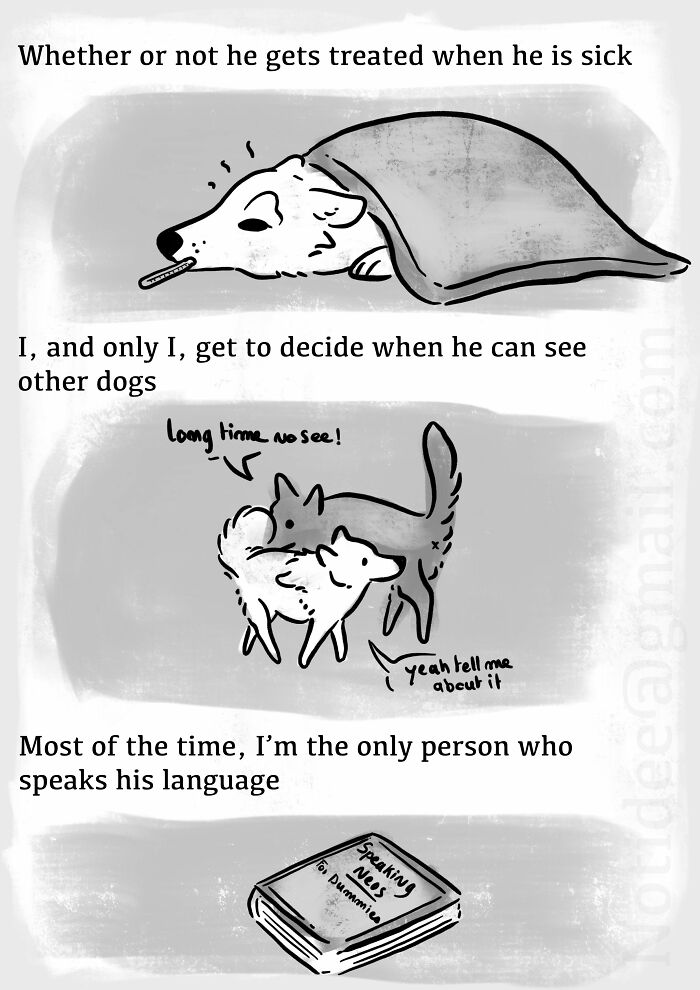 Dog Owner Creates A Comic About How Wrong The 'It's Just A Dog' Attitude Is Dog Owner Creates A Comic About How Wrong The 'It's Just A Dog' Attitude Is