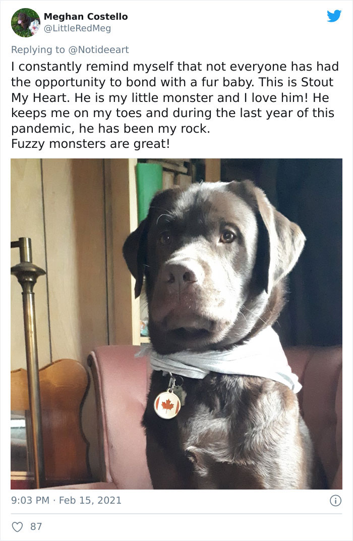 Dog Owner Creates A Comic About How Wrong The 'It's Just A Dog' Attitude Is Dog Owner Creates A Comic About How Wrong The 'It's Just A Dog' Attitude Is