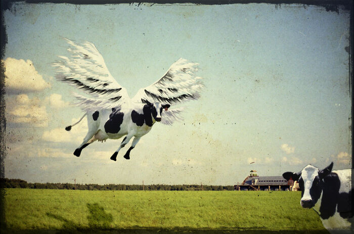 There Was A Time I Really Wanted To Become A Nature Photographer. My Best Photo From Those Times