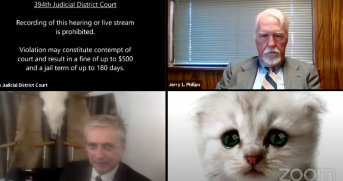 "I Believe You Have A Filter Turned On": Attorney Accidentally Shows Up With A Cat Filter On For A Zoom Court Hearing "I Believe You Have A Filter Turned On": Attorney Accidentally Shows Up With A Cat Filter On For A Zoom Court Hearing
