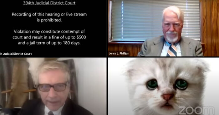 "I Believe You Have A Filter Turned On": Attorney Accidentally Shows Up With A Cat Filter On For A Zoom Court Hearing "I Believe You Have A Filter Turned On": Attorney Accidentally Shows Up With A Cat Filter On For A Zoom Court Hearing