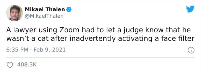 "I Believe You Have A Filter Turned On": Attorney Accidentally Shows Up With A Cat Filter On For A Zoom Court Hearing