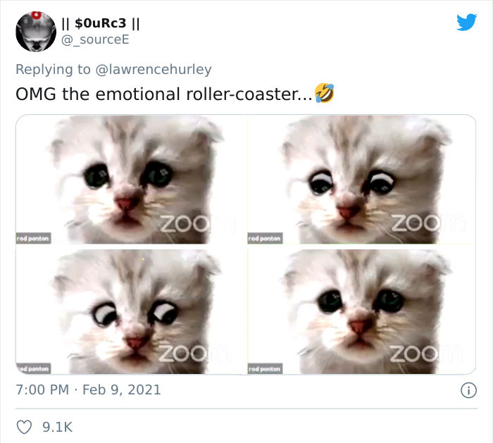 "I Believe You Have A Filter Turned On": Attorney Accidentally Shows Up With A Cat Filter On For A Zoom Court Hearing