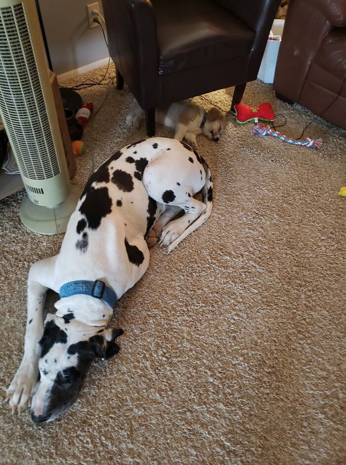 Id Like To Make An Entry Into All 3 Categories.