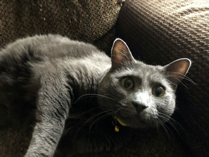 What Are You Looking At?