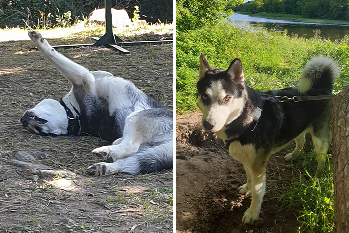 Not So Handsome vs. Super Handsome