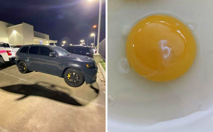 50 Personas que vieron algo «bastante interesante» y lo documentaron