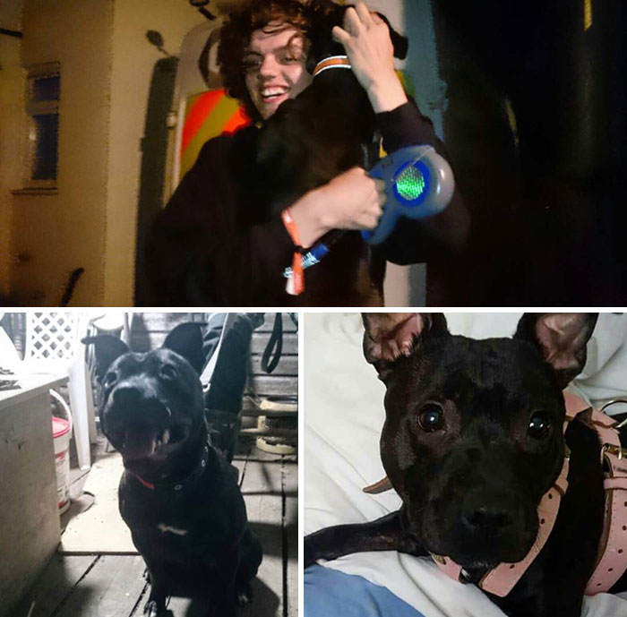 Found A Little Dog And Within Minutes Of Putting Her On A Lost And Found Pets Group Her Owner And I Had Found Each Other Thanks To A Lady Who'd Seen Both Our Posts