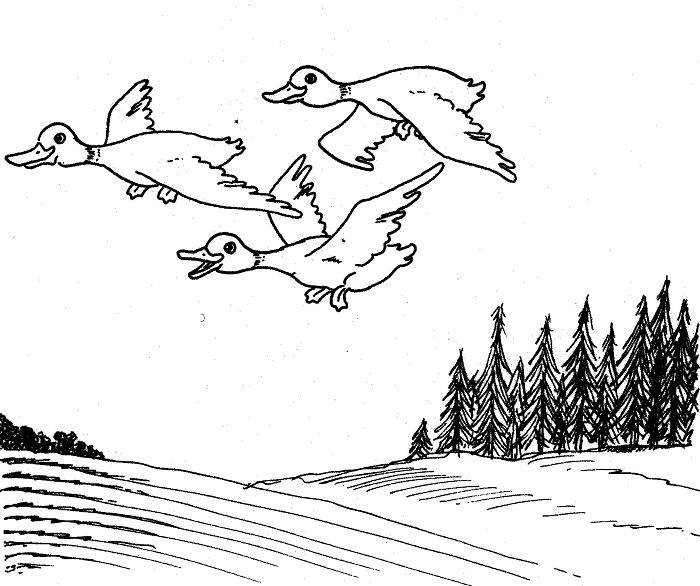 I Drew This One Some Years Ago For A Childrens Song