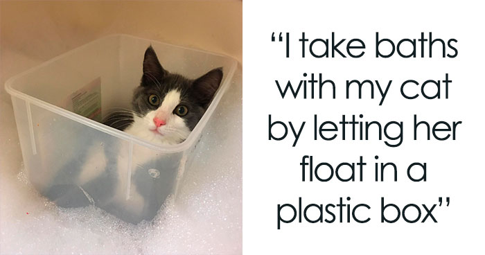 43 People Share How They Accidentally Conditioned Their Pets To Learn Unusual Skills Or Habits