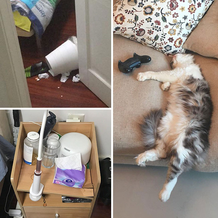 Exhausted After A Day Of Destruction