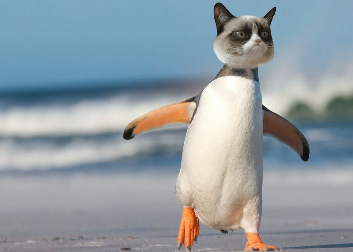 Looks Normal To Me...