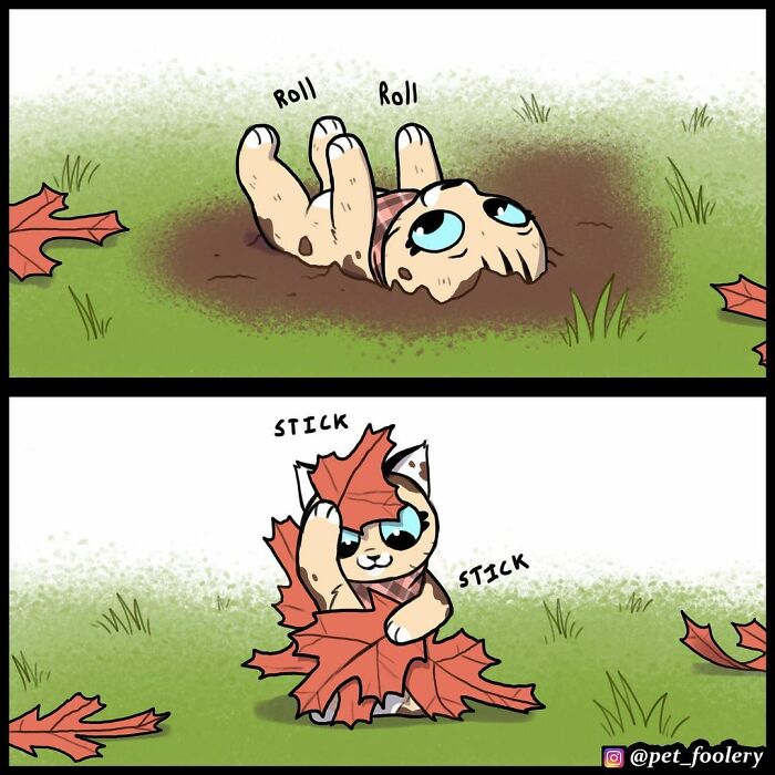 8 New Hilariously Adorable Comics About Pixie And Brutus To Instantly Make Your Day 8 New Hilariously Adorable Comics About Pixie And Brutus To Instantly Make Your Day