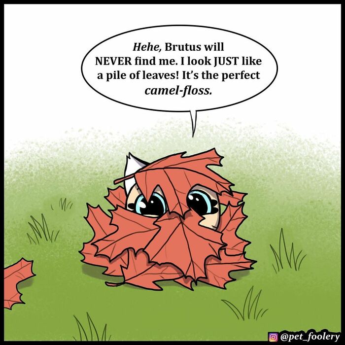 8 New Hilariously Adorable Comics About Pixie And Brutus To Instantly Make Your Day