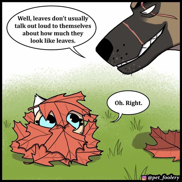 8 New Hilariously Adorable Comics About Pixie And Brutus To Instantly Make Your Day