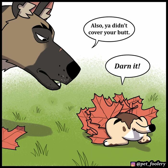 8 New Hilariously Adorable Comics About Pixie And Brutus To Instantly Make Your Day