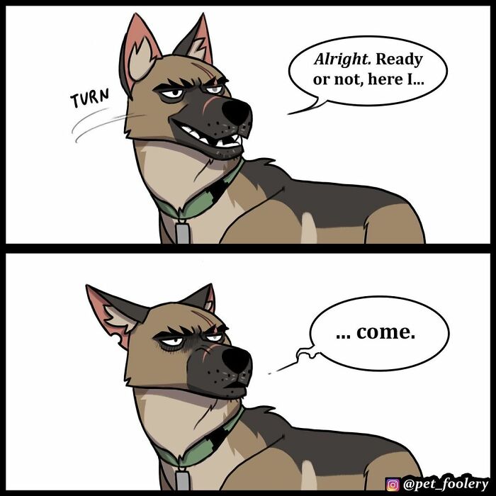 8 New Hilariously Adorable Comics About Pixie And Brutus To Instantly Make Your Day 8 New Hilariously Adorable Comics About Pixie And Brutus To Instantly Make Your Day