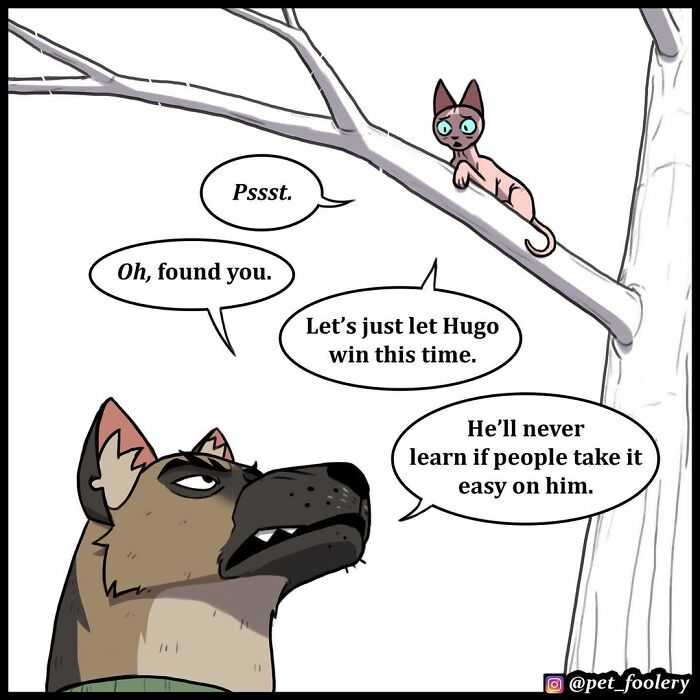 8 New Hilariously Adorable Comics About Pixie And Brutus To Instantly Make Your Day